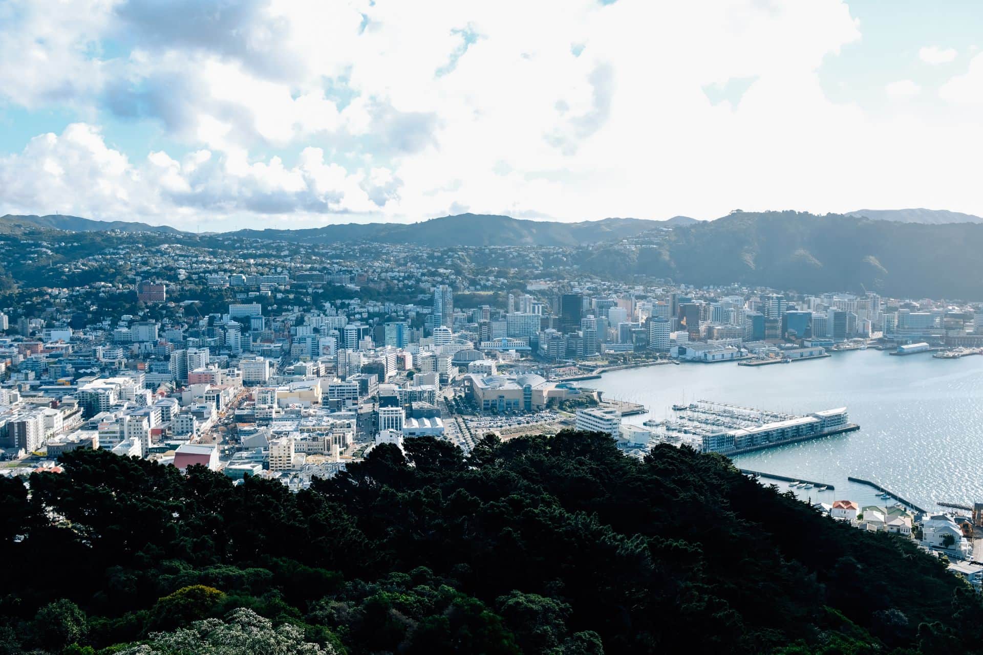 New Zealand: Active Investor Plus investment-offering rules from 28 September 2026