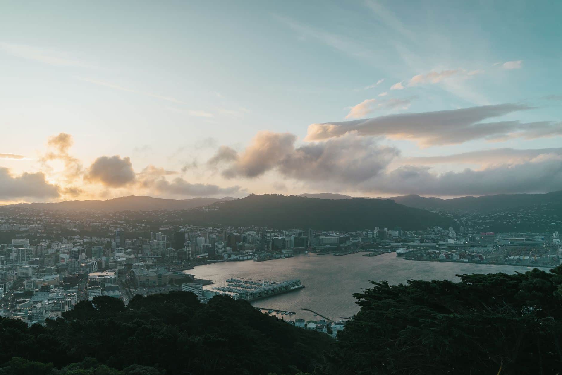 New Zealand Active Investor Plus Visa: application process and timeline