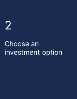 Choose an investment option 