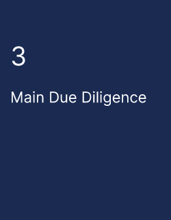Main Due Diligence